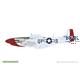 MIGHTY EIGHT: 65th Fighter Wing P-51D 1/48