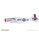 MIGHTY EIGHT: 65th Fighter Wing P-51D 1/48