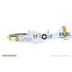 MIGHTY EIGHT: 65th Fighter Wing P-51D 1/48