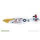 MIGHTY EIGHT: 65th Fighter Wing P-51D 1/48