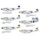 Tales of Iwo Jima (P-51D)- Dual Combo