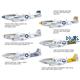 Tales of Iwo Jima (P-51D)- Dual Combo