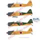 Mitsubishi A6M2-K  -Profi Pack-