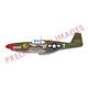 North American P-51B/C Birdcage Canop Royal Hybrid