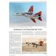 Flugzeug Profile 61 - Grumman F-14 Tomcat