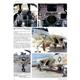 Flugzeug Profile 61 - Grumman F-14 Tomcat