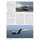 Flugzeug Profile 61 - Grumman F-14 Tomcat