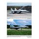 Flugzeug Profile 74 "Die deutsche MiG-29"