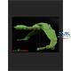 U.S.S. Grissom & Klingon Bird of Prey 1:1000