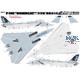 F-14B BOMBCAT
