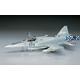 Northrop F-20 Tiger Shark (B3)