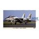 F-14A TOMCAT \"EARLY VERSION\"