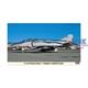 F-4J/S Phantom II \"Ferris Camouflage\"