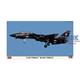 F-14D Tomcat VX-9 "Black Tomcat"