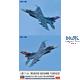Mitsubishi F-2A, 8AW JASDF "70th Anniversary"