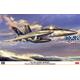 F/A-18F Super Hornet VFA-103 Jolly Rogers 75T