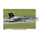 F/A-18C Hornet \"VFA-105 Gunslingers\"