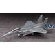 F-15E Strike Eagle Garuda 1 - Ace Combat 7 (SP668)