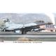 F-16C Fighting Falcon "Aggressor"