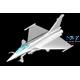 Dassault Rafale M Fighter