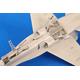 McDonnell Douglas F/A-18C „Hornet“