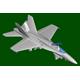 McDonnell Douglas F/A-18C „Hornet“