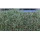 Fasern 12mm Herbst