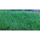 Fasern 12mm Sommer