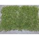 Fasern 6mm Herbst