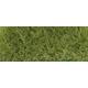 Frühlings Gras hell DIN A6 12-36mm