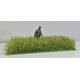 Frühlings Gras hell DIN A6 12-36mm