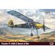 Fieseler Fi 156C-2 Storch At War