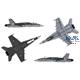 Boeing F/A-18 Hornet (Wild Weasel C/D)