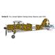 FIAT CR.42 Falco Assault / Night Fighter