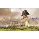 Austerlitz 1805 - Battle Set