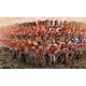 British Infantry 1815 - Napoleonic Wars