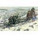 Horse drawn Breda 20 / 65 mod.35