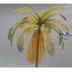 Palm (1/35)