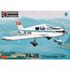 Piper PA-28 "Cherokee 140" Over Europe 2