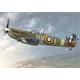 Supermarine Spitfire Mk.Va "Aces"