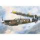 Supermarine Spitfire Mk.IIa "Aces"