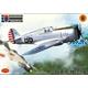 Curtiss P-36A/C/H-75A "Hawk"