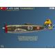 P-47D-22RE Thunderbolt. French Service - Basic Kit