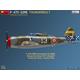 P-47D-22RE Thunderbolt. French Service - Basic Kit