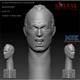 Character Head - Screaming Face Impression #0009