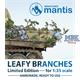 Leafy branches / Laubzweige