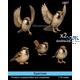 Sparrows