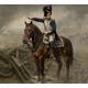 Napoleonic Wars Series: The Old Guard Officer 1:32