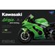 Kawasaki Ninja ZX-10RR (Pre-colored Edition)