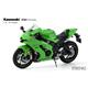 Kawasaki Ninja ZX-10RR (Pre-colored Edition)